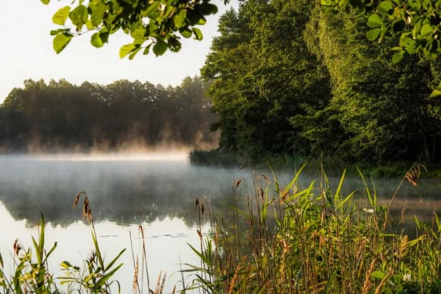 Steszewko: Najciekawsze atrakcje turystyczne w miejscowości Steszewko Steszewko: Najciekawsze atrakcje turystyczne w miejscowości Steszewko