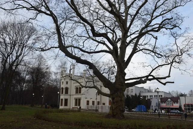 Pałac w Miechowicach: niezwykła atrakcja Bytomia zaprasza na zwiedzanie Pałac w Miechowicach: niezwykła atrakcja Bytomia zaprasza na zwiedzanie
