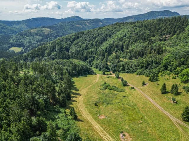 Głuszyca atrakcje, które zaskoczą każdego turystę w regionie Głuszyca atrakcje, które zaskoczą każdego turystę w regionie